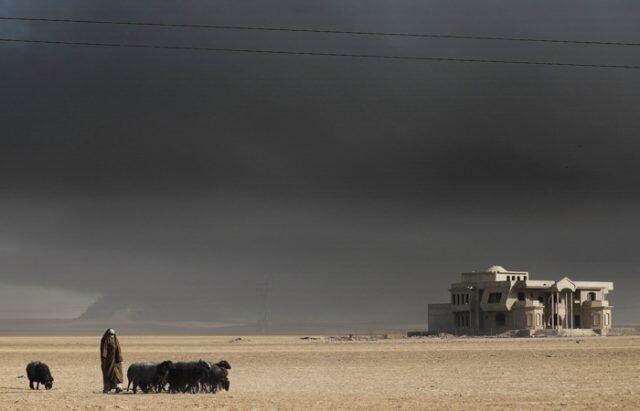 Mosul battle leaving legacy of environmental damage