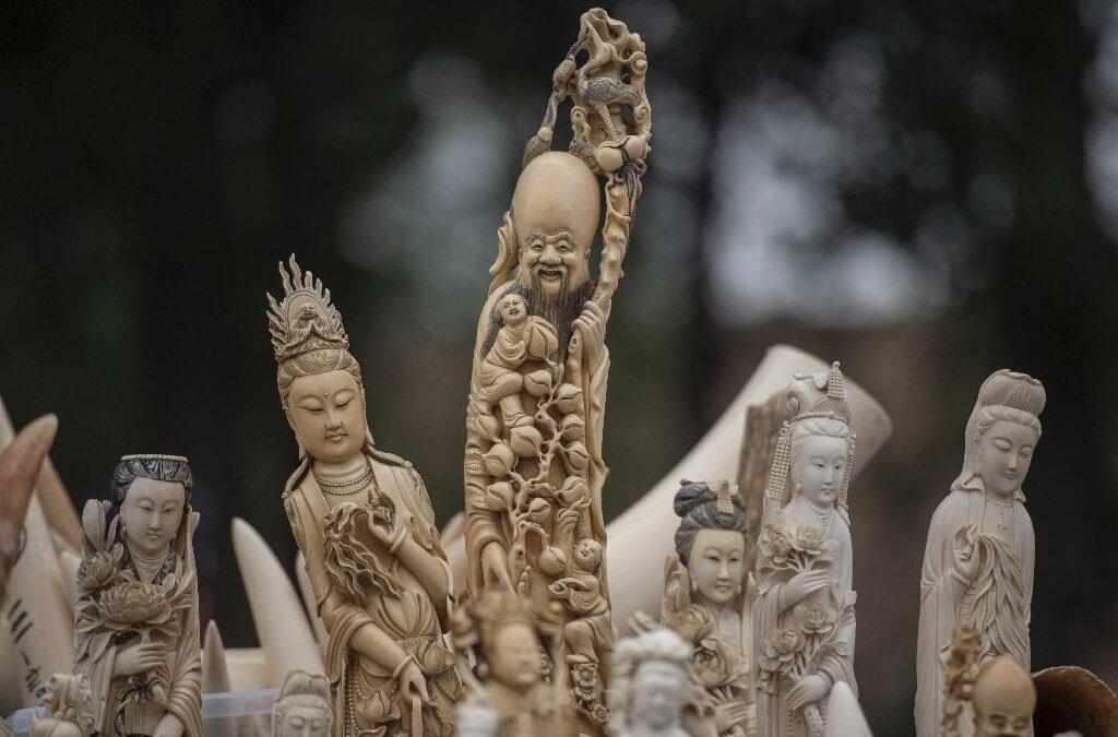 China to ban ivory trade by end of 2017