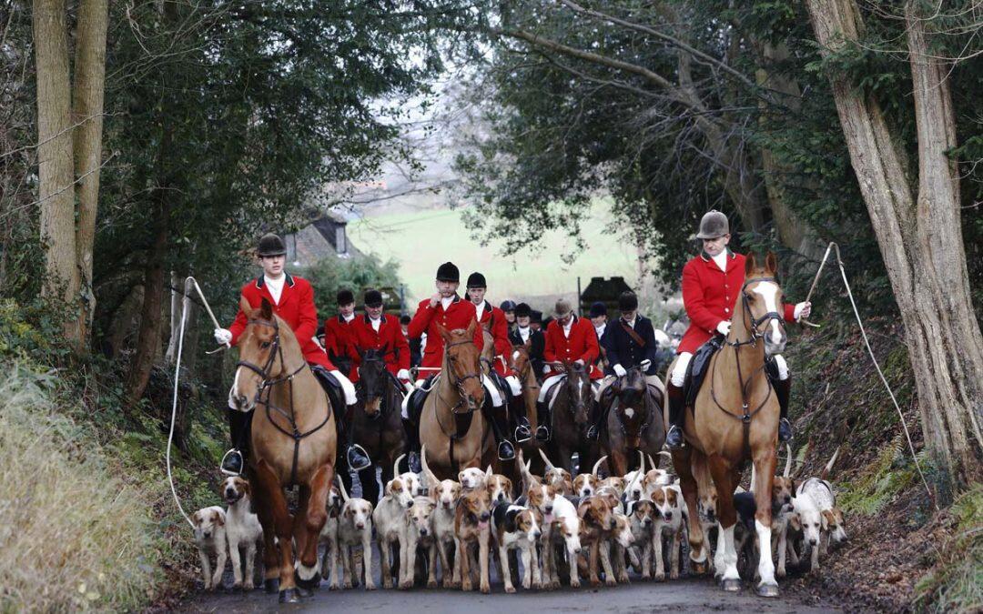 The Annual Boxing Day Hunt… Another Cruel Act against Animals to Ban!