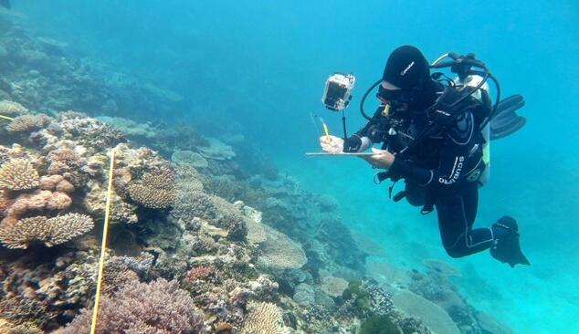 Great Barrier Reef ‘not dying’, Australia insists