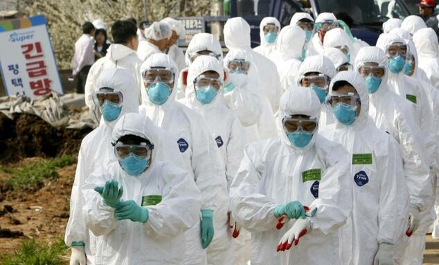 South Korea issues top bird flu alert