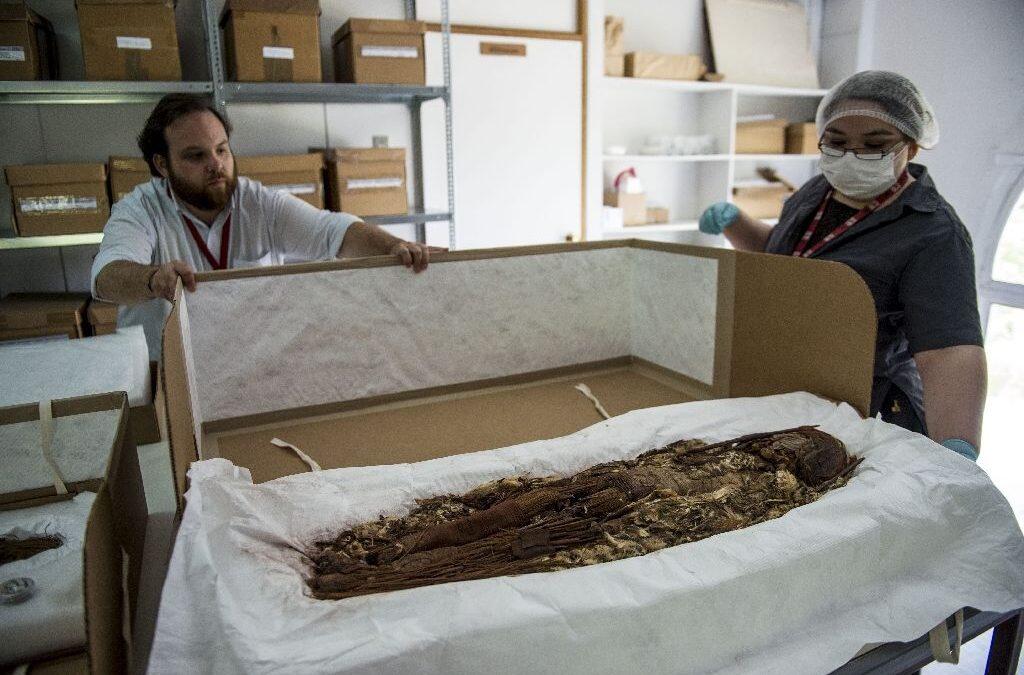 Scans unveil secrets of world’s oldest mummies