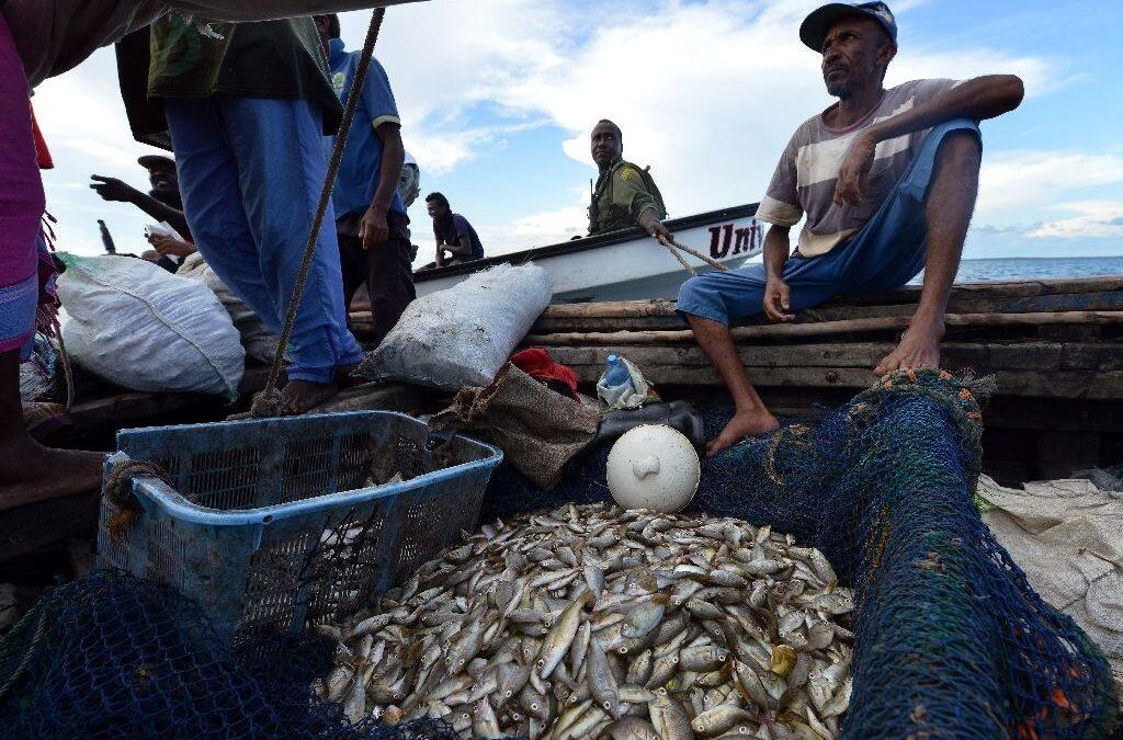 As oceans empty, Kenya fishermen must adapt or disappear