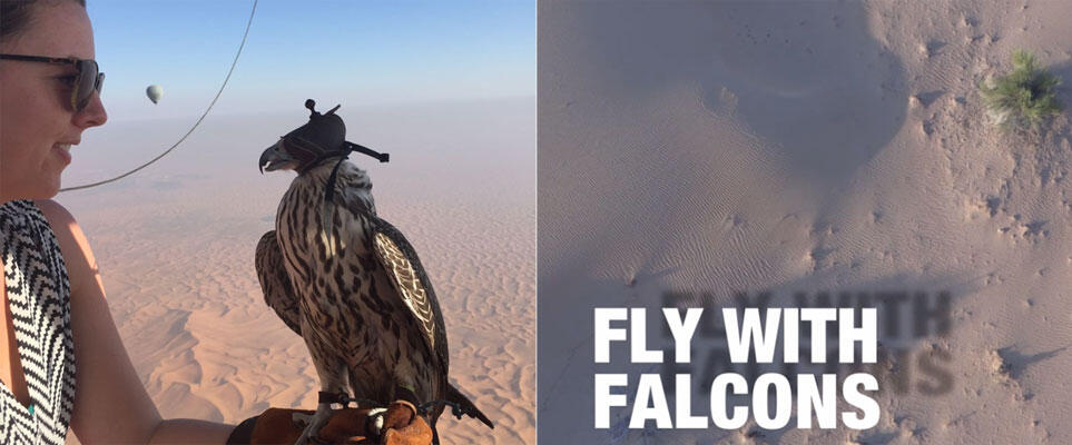 Video: You can now hot air balloon with falcons in Dubai