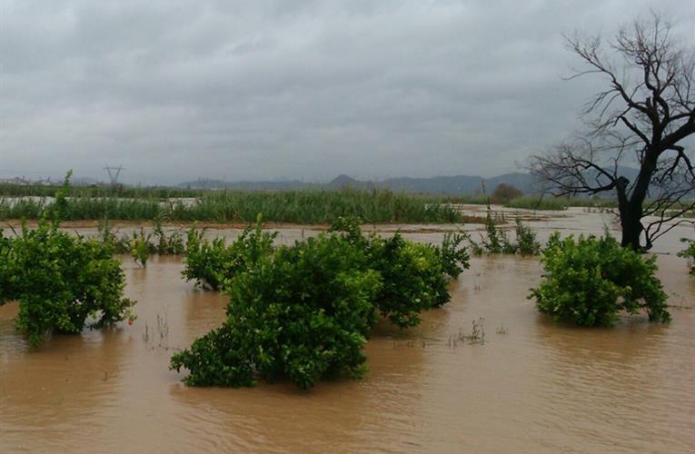 Torrential rains batter Spanish salad production causing disruption to UK supplies