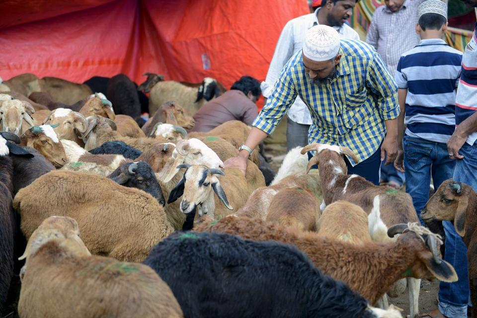 This season, witness goat weddings in Uttarakhand