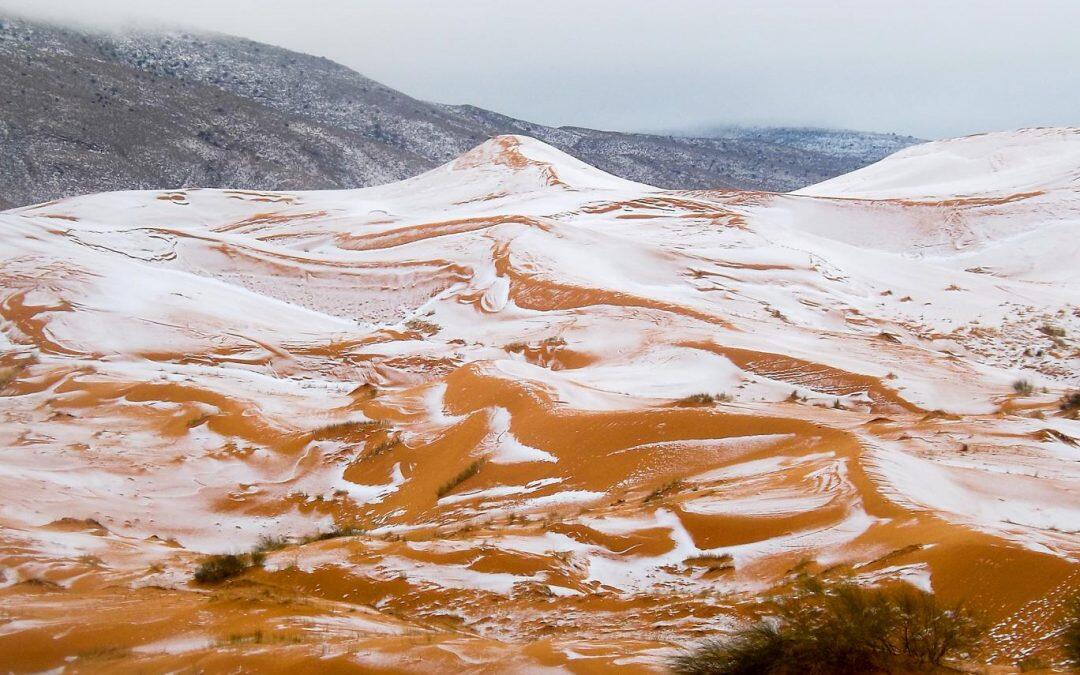 Snow in the Sahara desert… after 40 years?