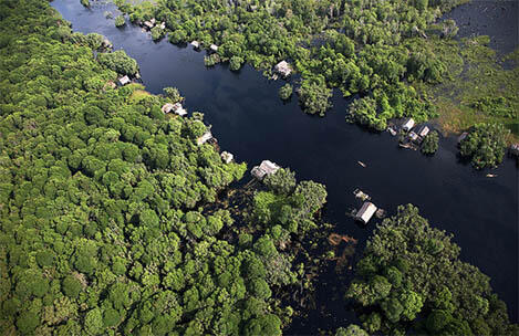 Indonesia expands protection for peatlands