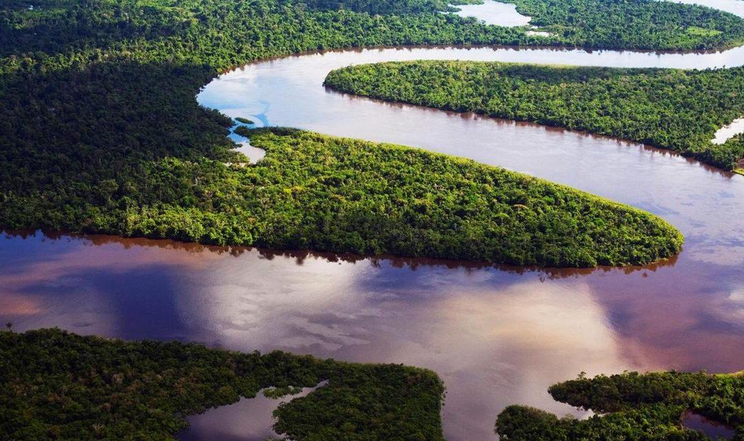 Did you know the Amazon rainforest produces half the world’s oxygen supply