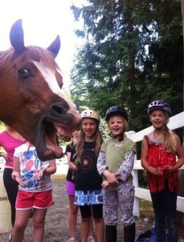 animal-photobombs-13