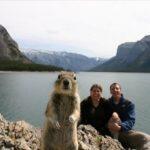 animal-photobombs-bonus-1