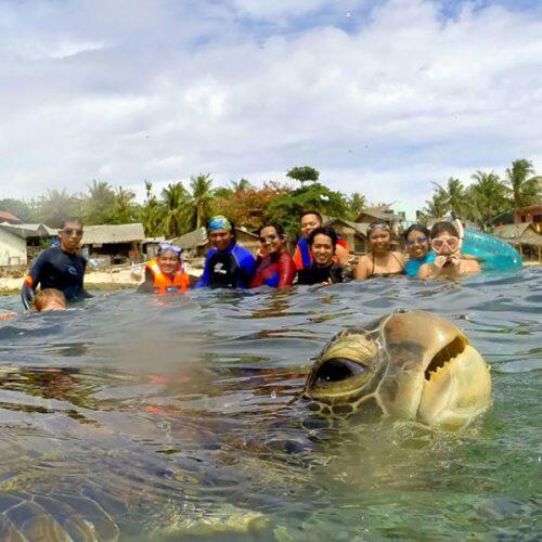 animales-photobomb-divertido-18