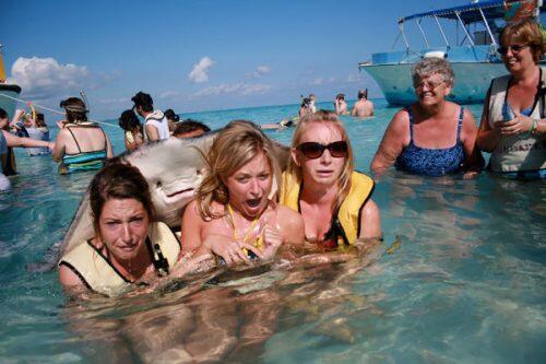 animales-photobomb-divertido-3