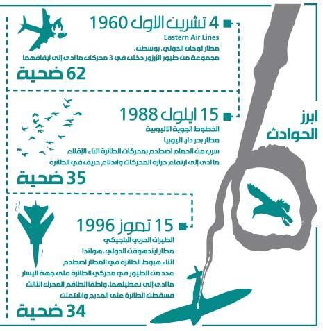 خطر النورس على سلامة الطيران: الدولة «كشّاش» طيور