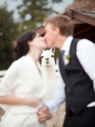 saddlerock-ranch-wedding-photo