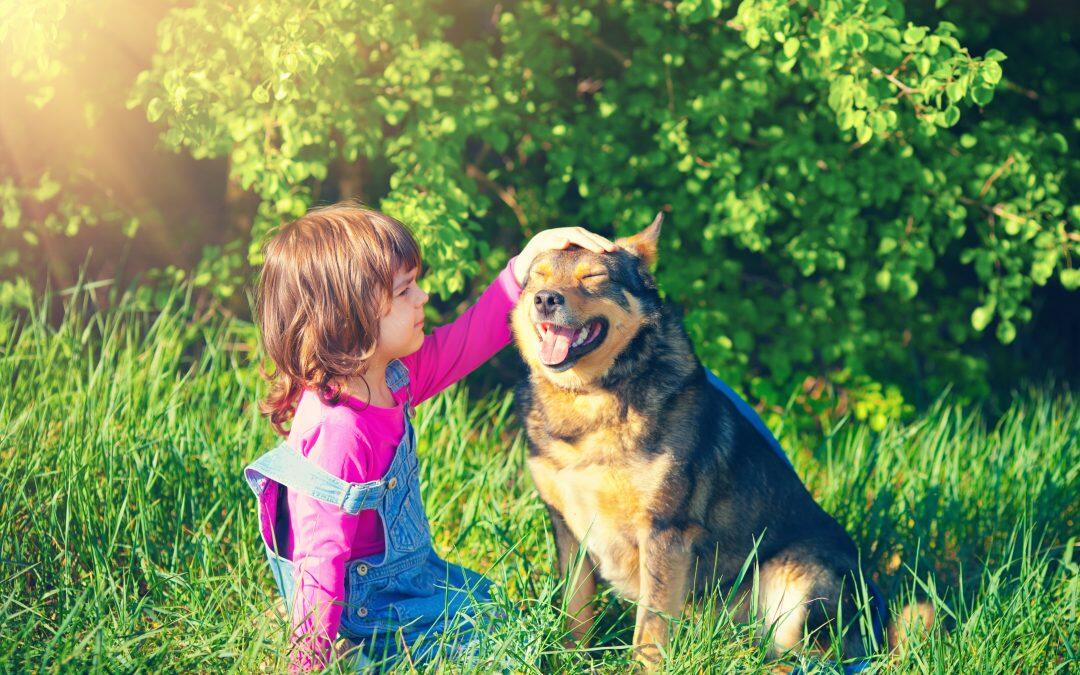 تربية الحيوانات الأليفة… علاج نفسي للاطفال!