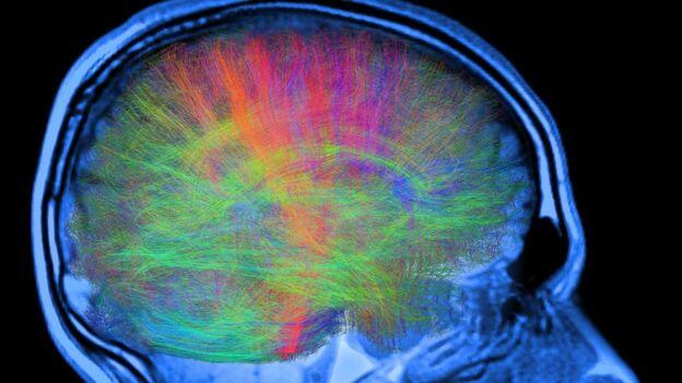 Prize for cracking brain’s ‘feel good’ system