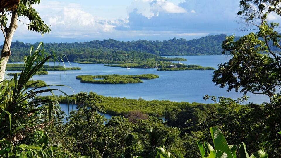 Descubren qué animal podría haber sido ser el monstruo del Lago Ness