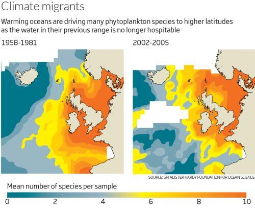 plankton migration