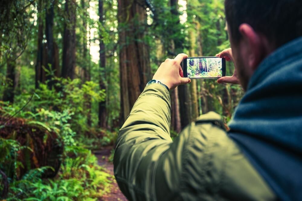        #LoveForests حملة الفيديو بمناسبة اليوم العالمي للغابات 2017