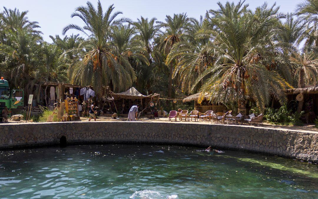 L’Oasis de Siwa d’Egypte annoncée comme destination mondiale pour le tourisme médical et environnemental