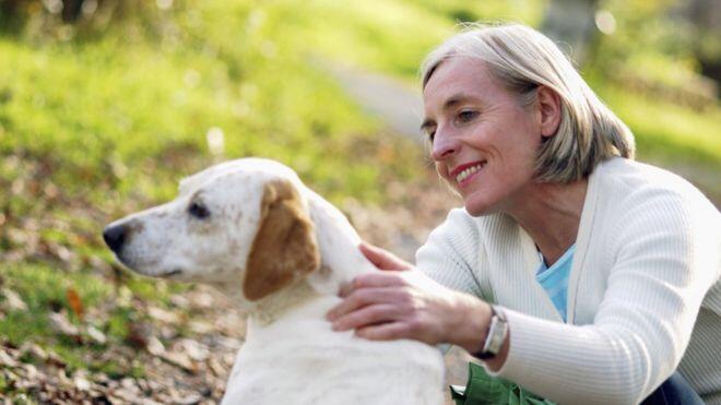 L’arbre généalogique des chiens révèle l’histoire secrète des canines