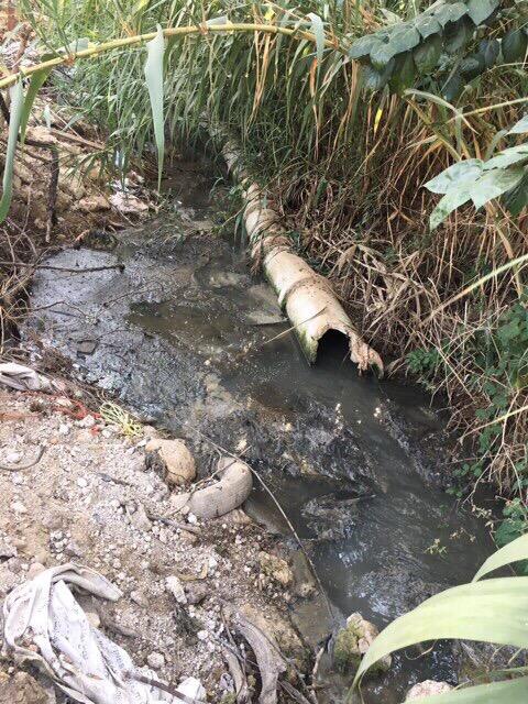 “Lebanese green party” application on smartphones… and Pollution monitoring in Rashiin River