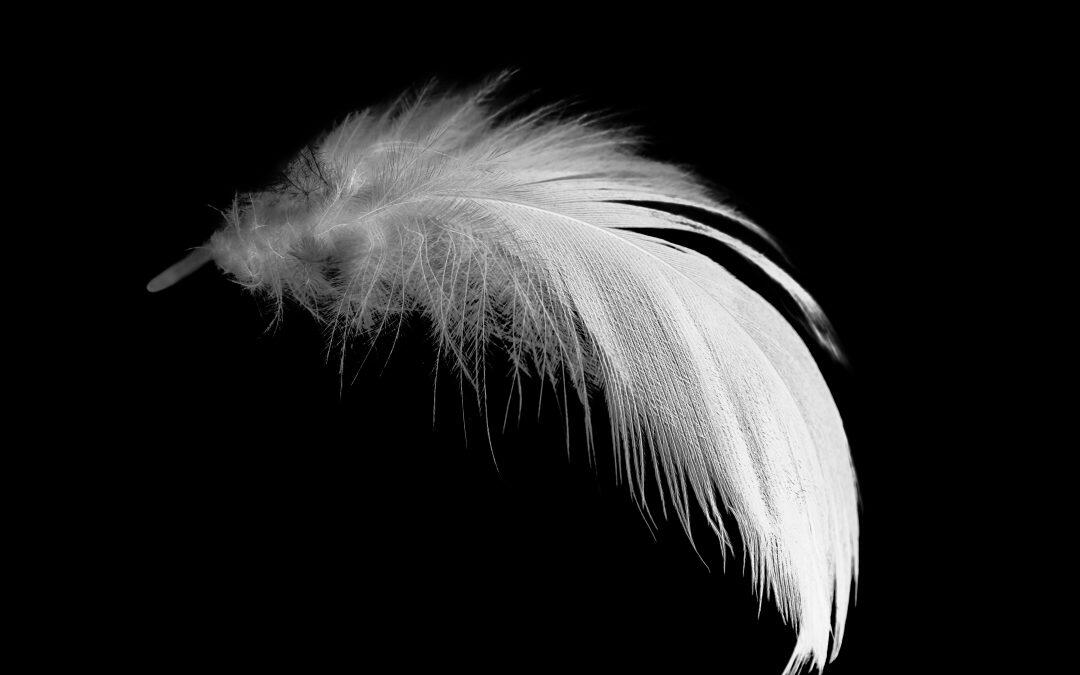 Did You Know that Pteronophobia is the fear of being tickled by feather