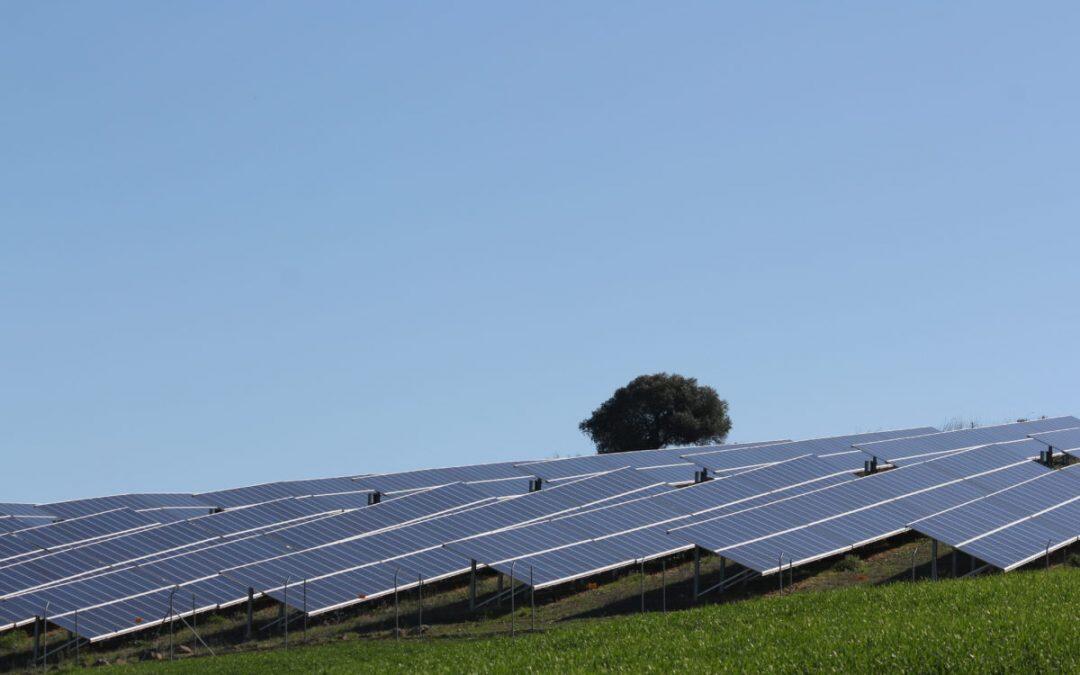 Le ministère espagnol de l’Environnement réduit le projet solaire géant en Estrémadure de 170 MW