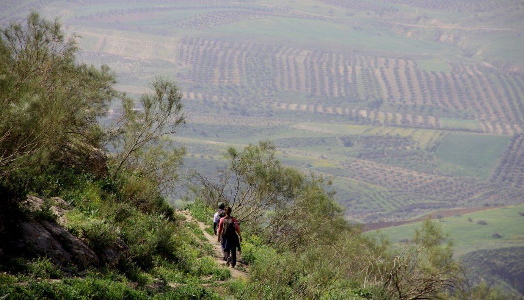 Jordan Trail: un parcours à travers l’histoire à travers des villages anciens et des wadis sauvages