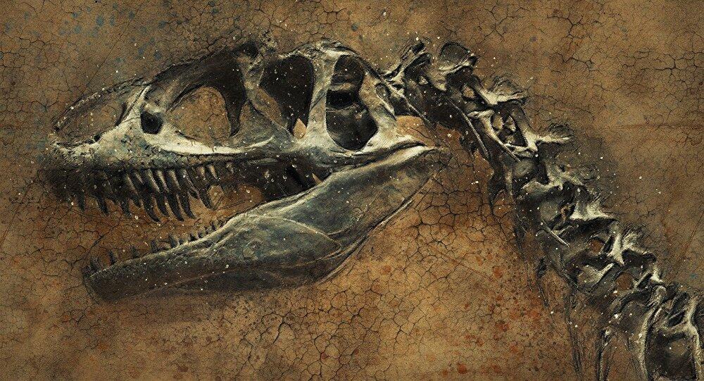 Old Bones: nouvelles espèces de dinosaures ont été déterrées sur le Groenland