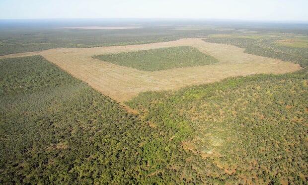 Terres non approuvées éliminant une crise environnementale qui se déroule, les groupes verts disent