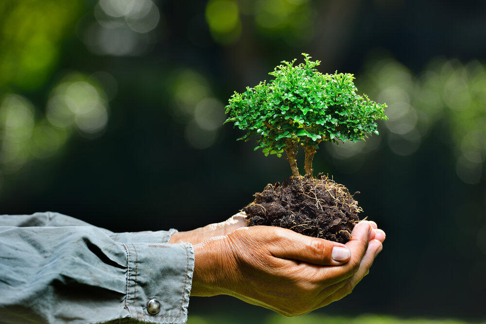 Rencontres vertes qui recherchent la conscience environnementale