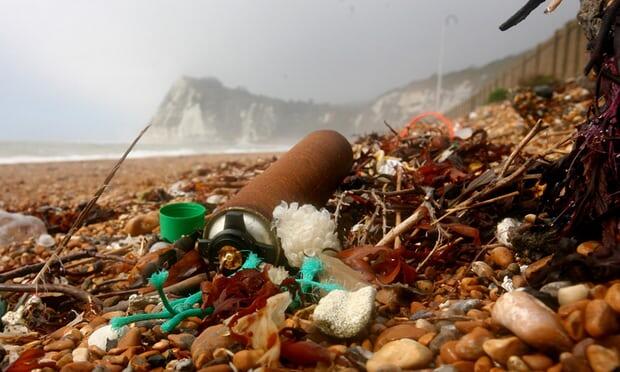 Les groupes verts demandent la révision de la loi d’abrogation pour protéger l’environnement après Brexit