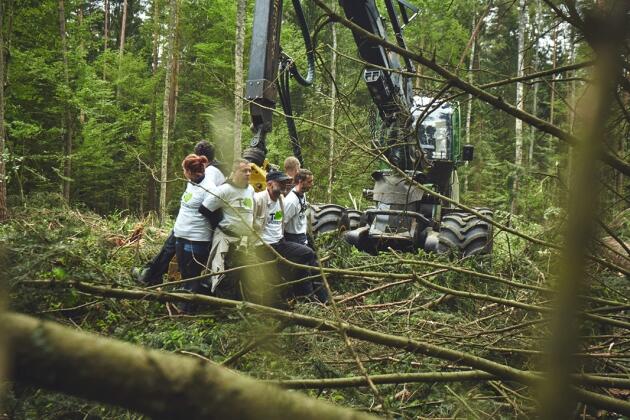 La Commission européenne exhorte l’interdiction de l’exploitation forestière dans l’ancienne forêt de Białowieża