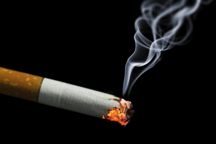 Should smoking be banned in cars to keep Kiwi children healthy?