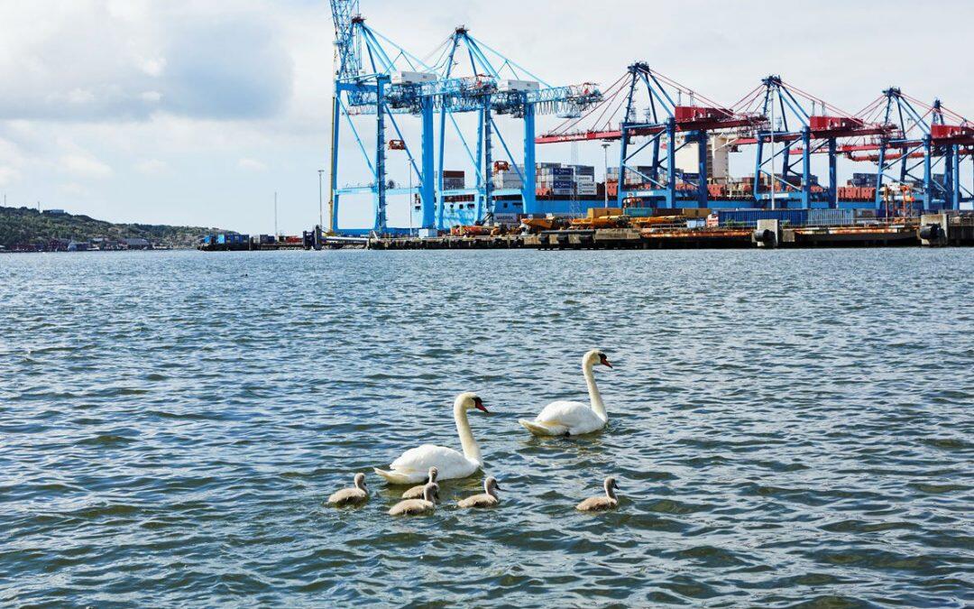 UE. L’étude propose des redevances environnementales portuaires harmonisées