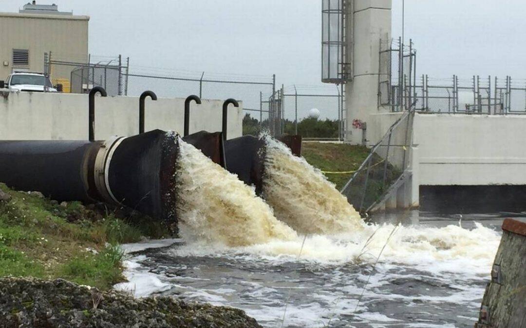 Plus de pluie d’été signifie plus de problèmes environnementaux dans le sud de la Floride