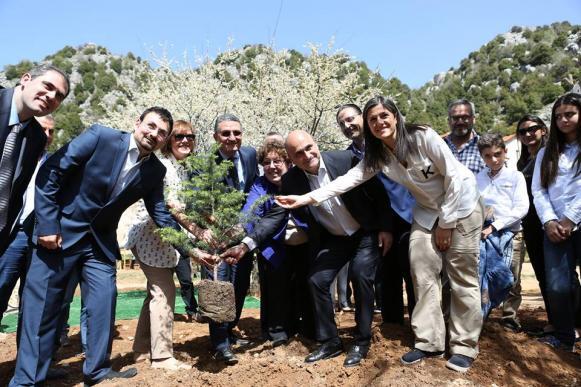 جمعية التحريج في لبنان: مشاريع للحفاظ على غابات لبنان