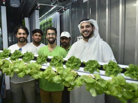 Green machine: Madar Farms’ plug-and-play harvests