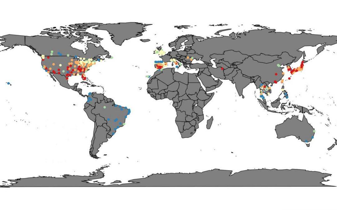 Spain is one of the countries where more heatwaves are recorded annually