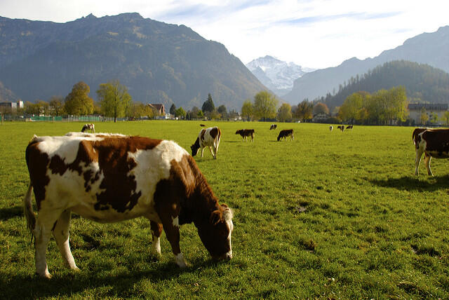 Compte tenu des compromis entre les meilleures pratiques environnementales et l’impact climatique de l’agriculture