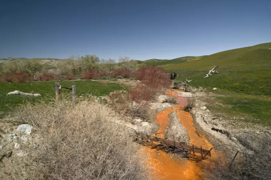 ISOLATING MERCURY TO PROTECT FOOD CHAINS