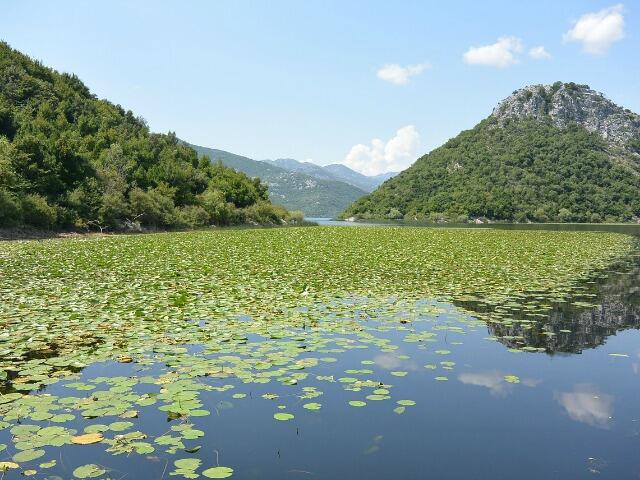 Resort prévu au Monténégro Skadar Alarms MEPs