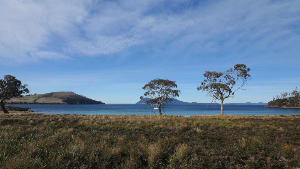 Opponents to fight Tasmanian salmon farm approval