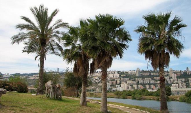 Israel and Palestine Join Hands Again to Build a Restorative Eco-Park