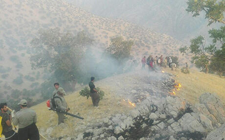 Three-day wildfire extinguished in Iranian Kurdistan