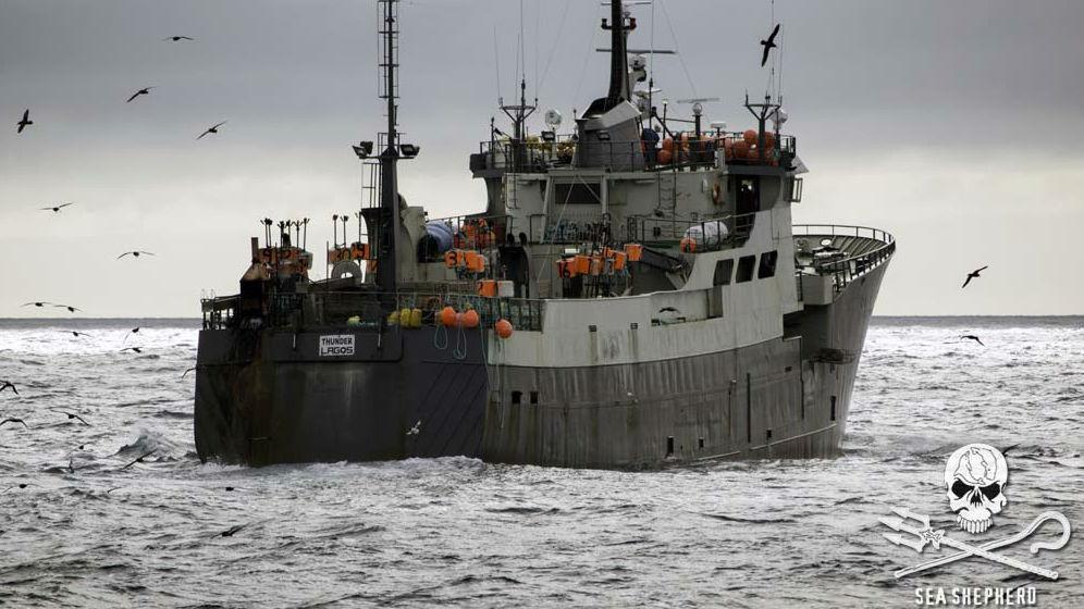 Spanish Authorities Fine Illegal Fishing Operators