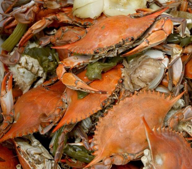 Divertissement, les crabes seront chauds au St. Tammany Crab Festival du 9 au 10 septembre à Slidell