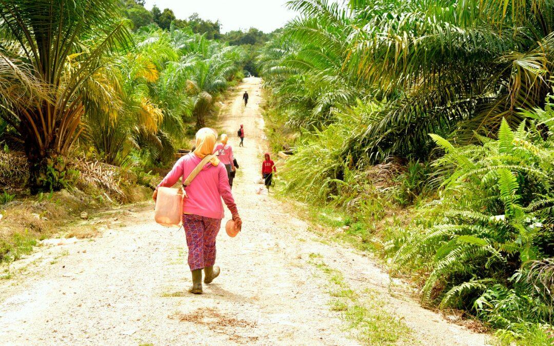 À Riau, en Indonésie, les femmes s’organisent pour la justice environnementale